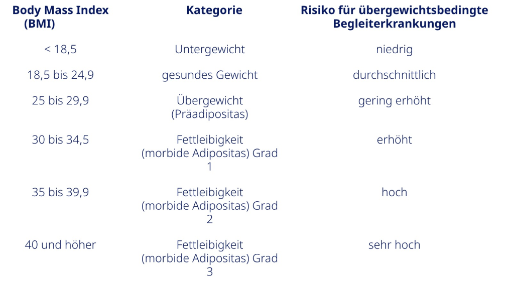 bmi-uebersicht